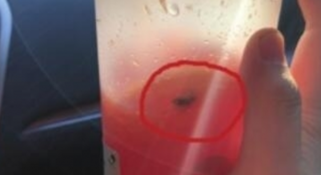 恶心！喜茶喝出绿头苍蝇 操作台成蚊子和苍蝇聚居地