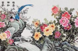 ǽ��װ�ιһ����ʺϹ�ʲô������ʯ�����������׺Ԣ���