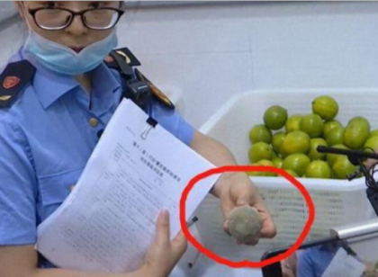 CoCo奶茶腐烂水果被查出 网红奶茶还能再“续命”吗？