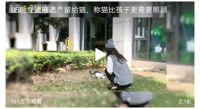 95后立遗嘱财产留给猫 律师告知不可行 网友：脑子有病