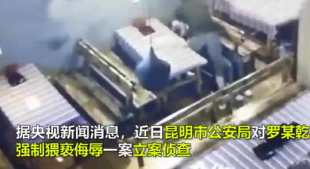 人民日报再评李心草案 请相信一株小草的倔强