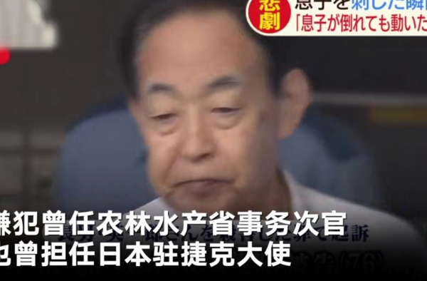日本前高官杀死啃老儿子 网友：号练废了就注销