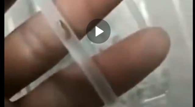 有虫输液管涉事厂家曾多次违法 网友：整治吧赶紧