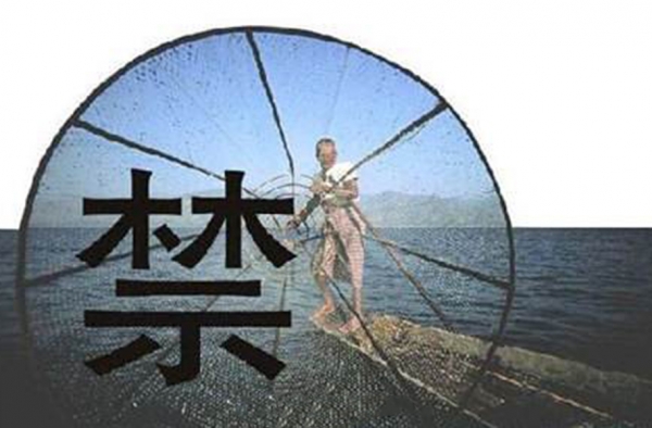 长江十年禁渔 让其休养生息 网友：鱼不会涨价吧