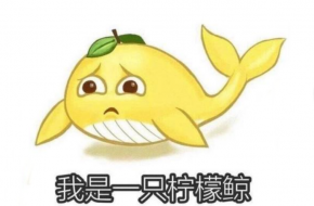 朋友圈的一些沙雕说说 这些句子笑到大脑缺氧c