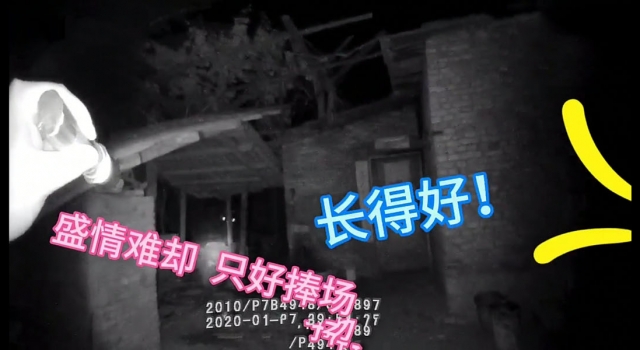 民警送醉汉回家被邀参观新生猪仔 求民警心里阴影面积
