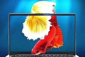 2020ᱡʼǱƼ 3Ϸ칫ɸ㶨