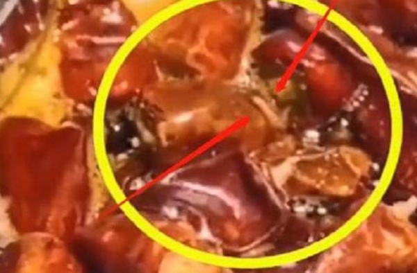 明星开店不靠谱？陈赫火锅店遭网友爆料吃出蠕动蛆虫，还有防腐剂