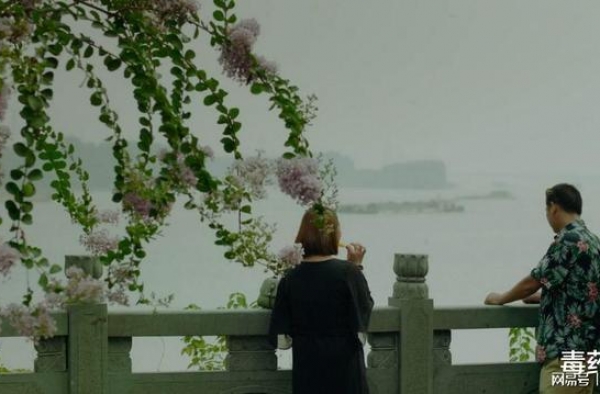 与你“云相约”！北影节线上展映排播发布