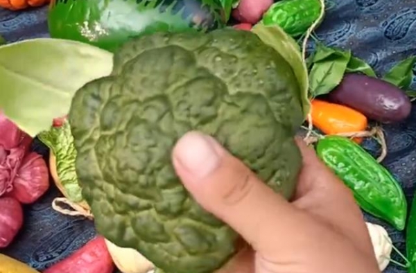 因道具做的太逼真，被判入狱4个月，这位顶级道具师“太难了”