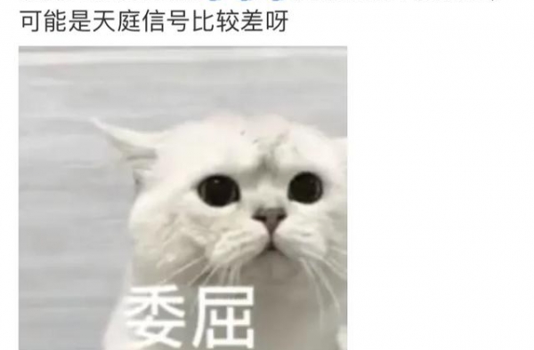 这样的职业和颜值还来上恋爱节目，惹得张翰全程姨夫笑