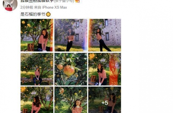 张子萱晒陈赫视角美照，石榴树下嘟嘴不停凹造型，细腰长腿超抢镜