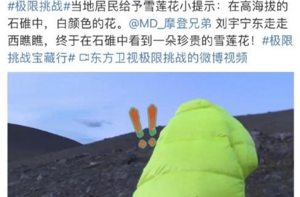 极挑岳云鹏、刘宇宁采摘国家保护植物雪莲花，法盲还是知法犯法？