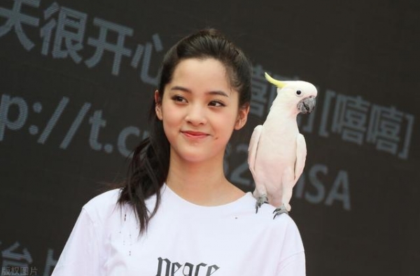 台湾艺人在大陆唱歌违什么法？