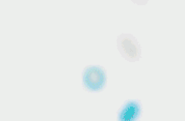 “十一”片单 | 出门看人不如宅家看片