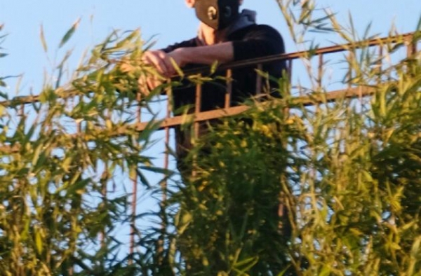 碟中谍7拍摄又喊停？阿汤哥站酒店露台黯然神伤，网友看了喊心疼
