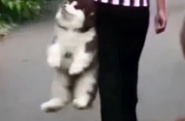 她的路人缘，到底是怎么崩坏到这样的