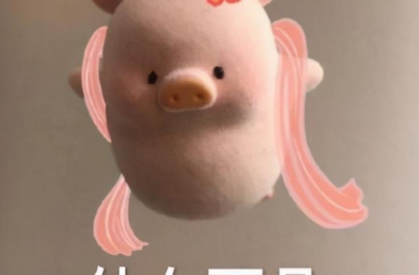 央视八套定档，年度优秀电视剧？《隐秘而伟大》已预定口碑爆款