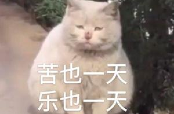 早报超有料丨胡巴变身《赤狐书生》宣传大使 张艺谋黄海再合作