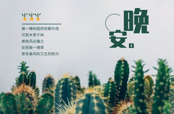 39岁的金莎上节目谈及婚嫁：大龄剩女，择偶标准应该下降吗？