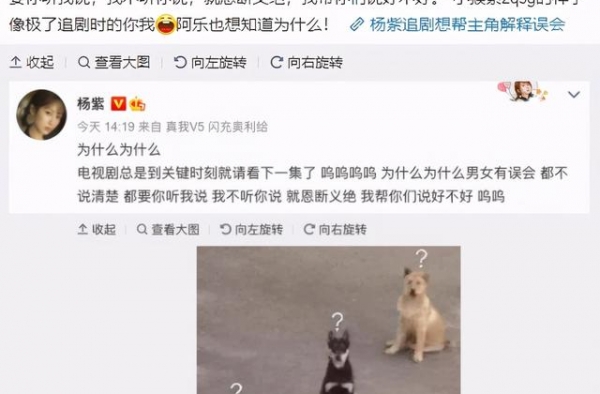 杨幂沈腾，杨紫，张馨予，章子怡，金瀚张芷溪，黄龄，张靓颖