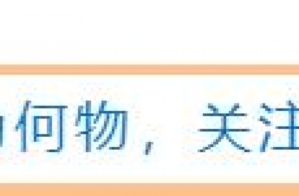 嫁入豪门半年产女，今准备生第二第三个：高攀的婚姻，谁是赢家？