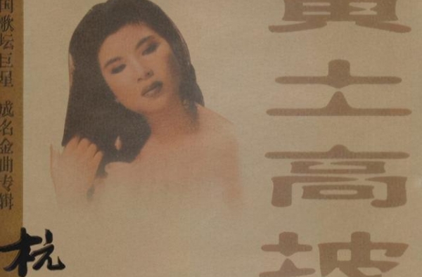 西北天后杭天琪，被曝会所常客后遭嘲讽，背后是婚姻的伤痕