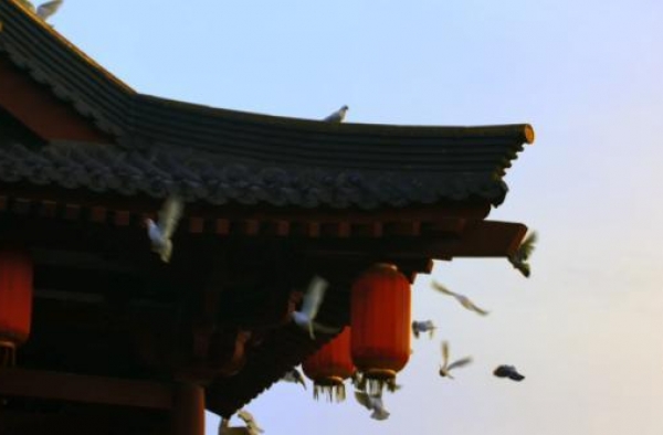 《从长安到罗马》第二季｜解读建筑奇观 聆听历史共鸣