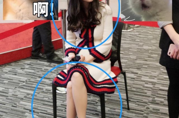 女明星养胎只胖肚子？原相机扫过吉娜6个月的孕肚，全明白了