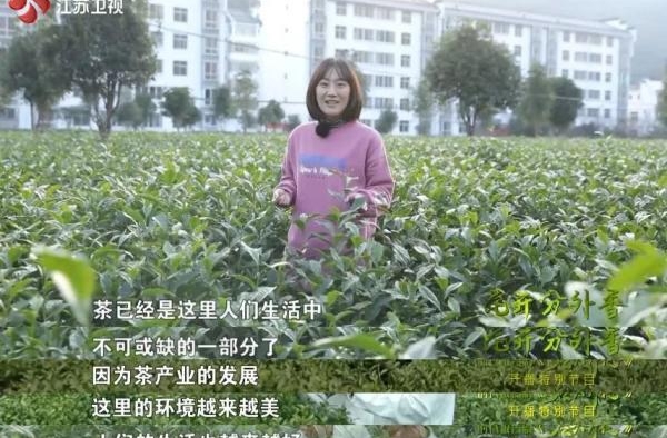 江苏卫视播出《石头开花》特别节目 剧集主创、基层干部共话扶贫