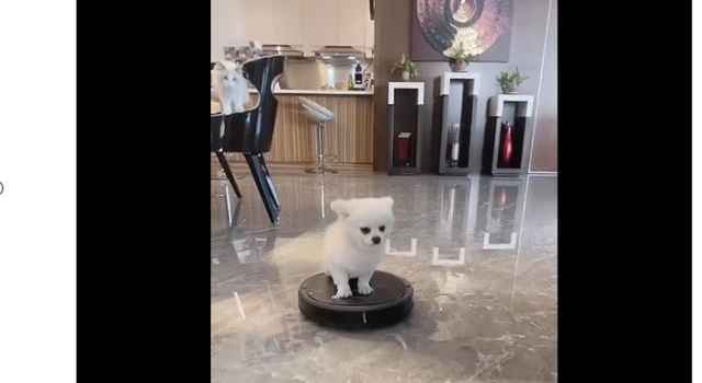 钟丽缇晒4000万豪宅内景，女儿豪华钢琴抢眼，张伦硕捡到宝了
