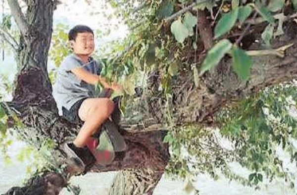 从“网络大电影”到“网络电影”