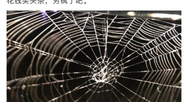 娱眼 | 不付费就限流，老狼等音乐人集体批微博吃相难看