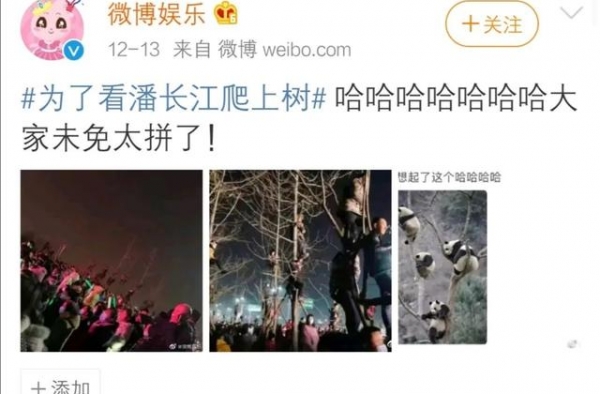 这些勇闯二次元的老艺术家，你真心惹不起