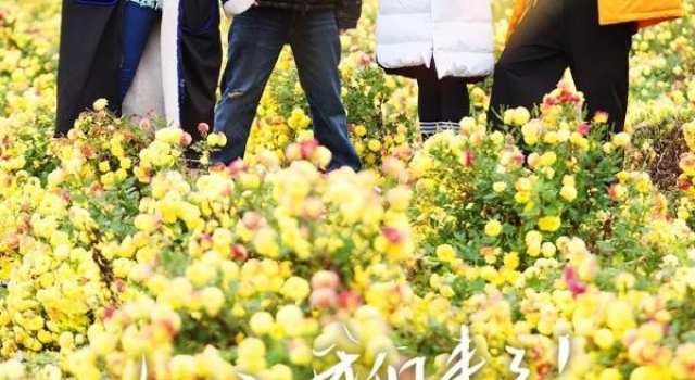 《从长江的尽头回家》杨钰莹唱响江西民歌