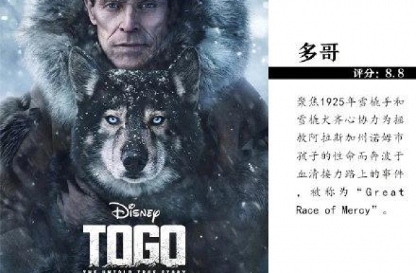 片单速马！2020豆瓣高分佳片