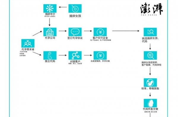 代孕“弃养”风波：郑爽张恒为何能“钻法律空子”？