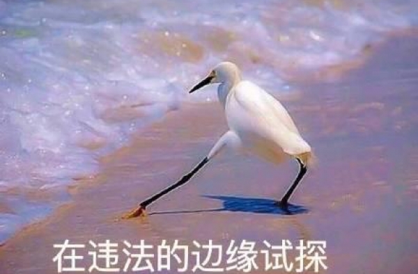 长安剑评郑爽代孕弃养风波：钻法律空子，绝不是无辜