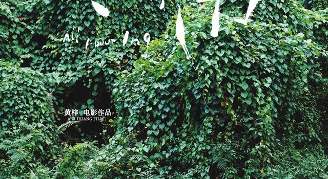 《小伟》：癌症电影的别样打开方式